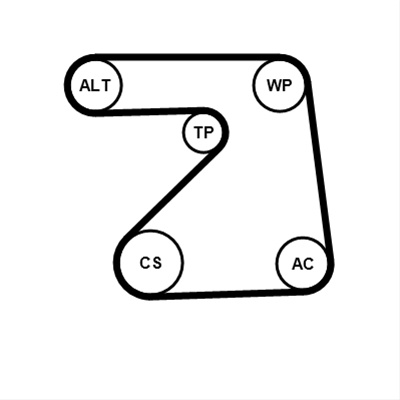 Set Curea Transmisie Cu Caneluri Continental Contitech 5PK1334K1