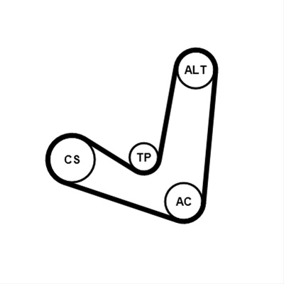 Set Curea Transmisie Cu Caneluri Continental Contitech Ford 6PK1244K2
