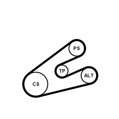 Set Curea Transmisie Cu Caneluri Contitech Citroën 6PK1453K1