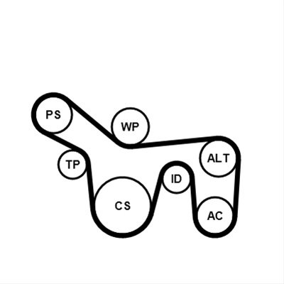 Set Curea Transmisie Cu Caneluri Contitech Ford 6PK1715K1