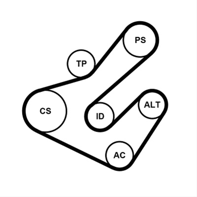 Set Curea Transmisie Cu Caneluri Contitech Nissan 7PK1795K2