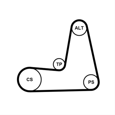 Set Curea Transmisie Cu Caneluri Contitech Nissan 5PK1110K1