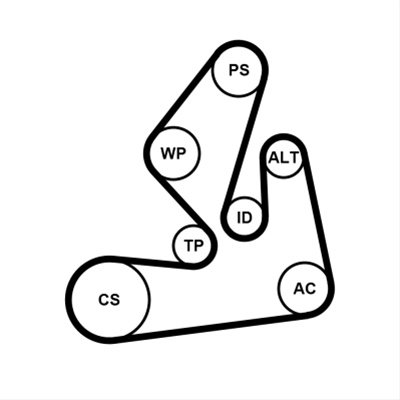 Set Curea Transmisie Cu Caneluri Contitech Nissan 7PK1970K1