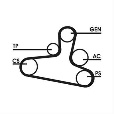 Set Curea Transmisie Cu Caneluri Contitech Seat 6DPK1195D2