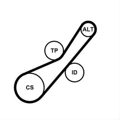Set Curea Transmisie Cu Caneluri Contite