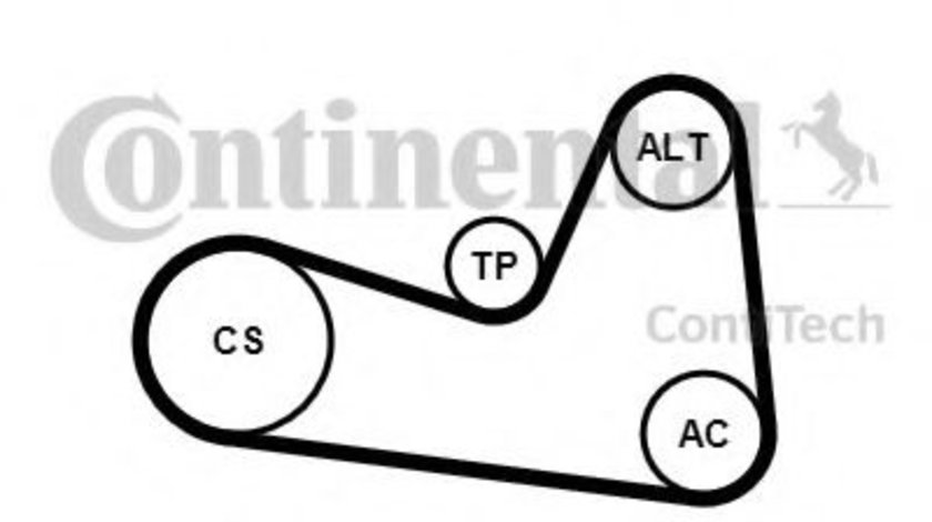Set curea transmisie cu caneluri DACIA LOGAN MCV (KS) (2007 - 2016) CONTITECH 6PK1200K1 piesa NOUA