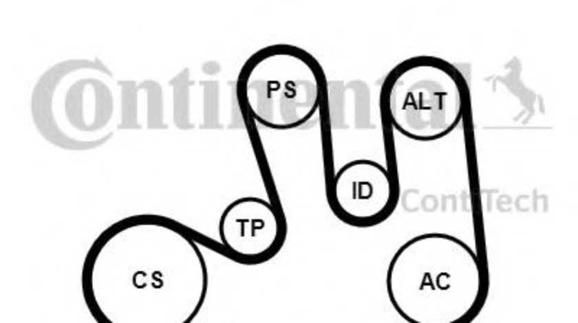Set curea transmisie cu caneluri DACIA LOGAN MCV (KS) (2007 - 2016) CONTITECH 5PK1750K1 piesa NOUA
