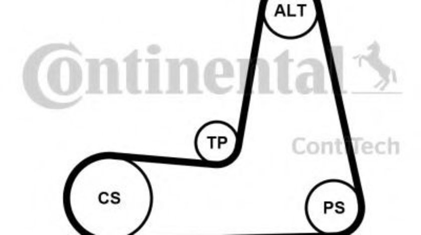Set curea transmisie cu caneluri DACIA LOGAN Pick-up (US) (2008 - 2016) CONTITECH 5PK1110K1 piesa NOUA