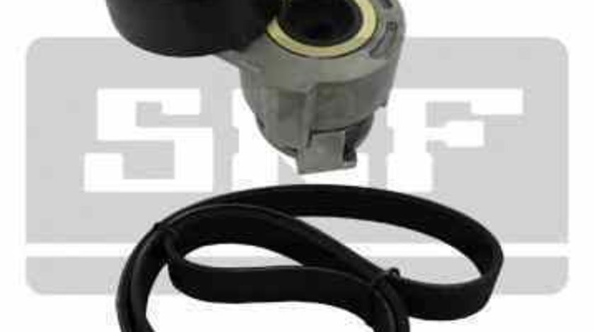 Set curea transmisie cu caneluri DACIA SANDERO II RENAULT 117203694R