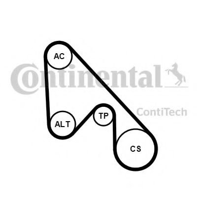 Set curea transmisie cu caneluri FIAT 500 C (312) (2009 - 2016) CONTITECH 5PK1145K1 piesa NOUA