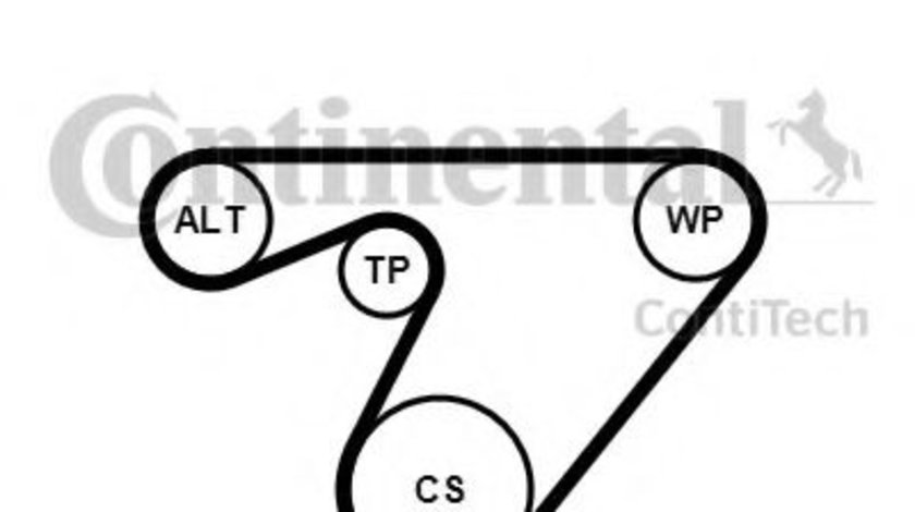Set curea transmisie cu caneluri FIAT ALBEA (178) (1996 - 2009) CONTITECH 6PK1180K3 piesa NOUA