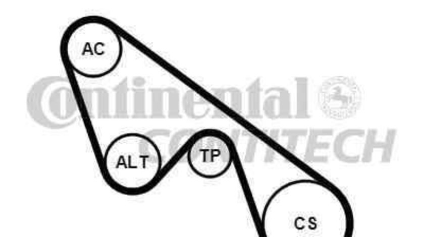 Set curea transmisie cu caneluri FIAT PANDA (169) CONTITECH 5PK1150K1