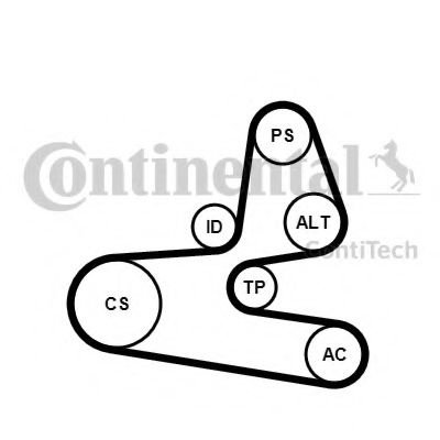 Set curea transmisie cu caneluri FIAT QUBO (225) (2008 - 2016) CONTITECH 6PK1564K1 piesa NOUA