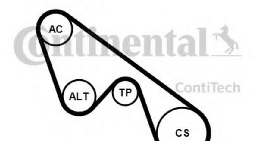 Set curea transmisie cu caneluri FIAT STILO Multi Wagon (192) (2003 - 2008) CONTITECH 5PK1150K1 piesa NOUA