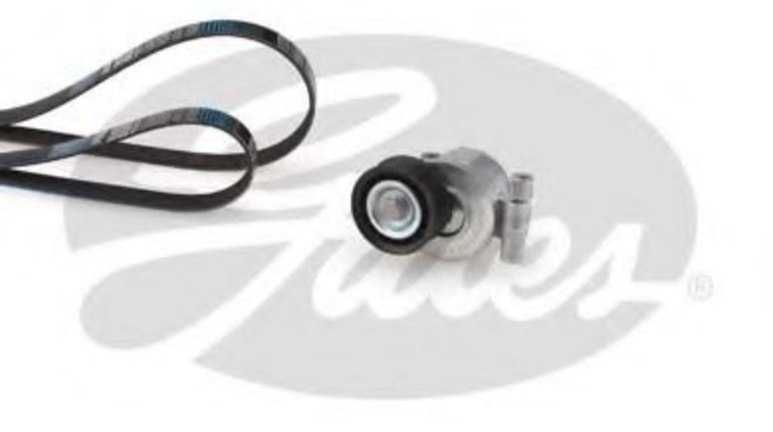 Set curea transmisie cu caneluri FORD C-MAX (DM2) (2007 - 2016) GATES K016PK1305 piesa NOUA