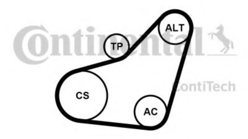 Set curea transmisie cu caneluri FORD C-MAX (DM2) (2007 - 2016) CONTITECH 6PK800K1 piesa NOUA