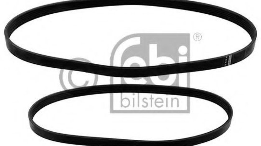 Set curea transmisie cu caneluri FORD FIESTA V (JH, JD) (2001 - 2010) FEBI BILSTEIN 40858 piesa NOUA