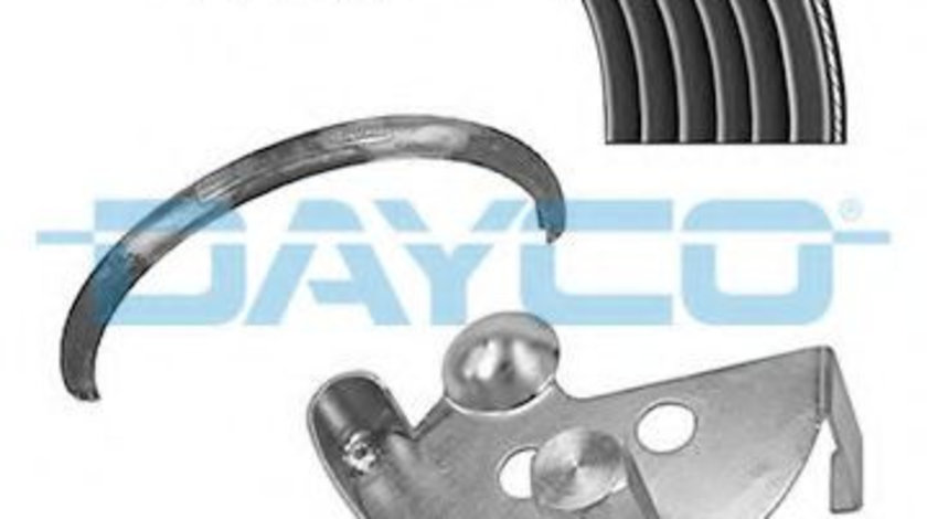 Set curea transmisie cu caneluri FORD FOCUS C-MAX (2003 - 2007) DAYCO PVE002 piesa NOUA