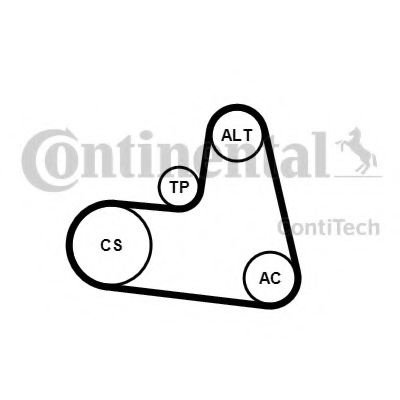 Set curea transmisie cu caneluri FORD FOCUS C-MAX (2003 - 2007) CONTITECH 6PK1217K1 piesa NOUA