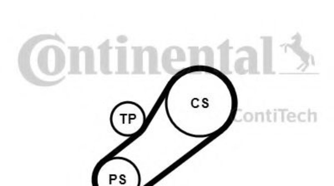 Set curea transmisie cu caneluri FORD MONDEO III Limuzina (B4Y) (2000 - 2007) CONTITECH 4PK735K1 piesa NOUA