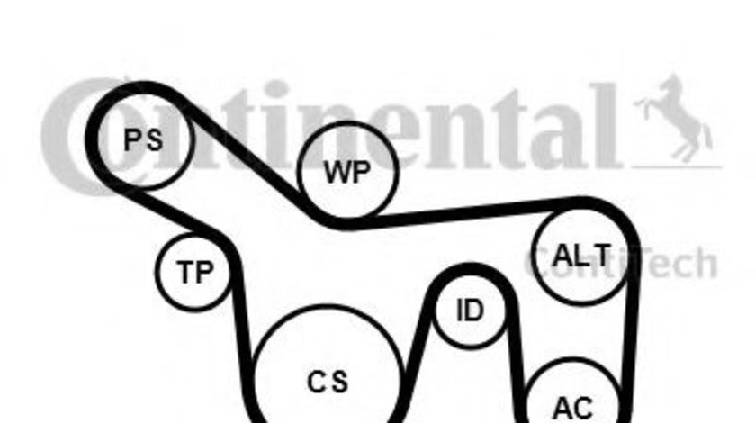 Set curea transmisie cu caneluri FORD TRANSIT CONNECT (P65, P70, P80) (2002 - 2016) CONTITECH 6PK1715K1 piesa NOUA