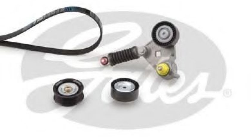 Set curea transmisie cu caneluri FORD TRANSIT platou / sasiu (FM, FN) (2000 - 2006) GATES K036PK1640 piesa NOUA