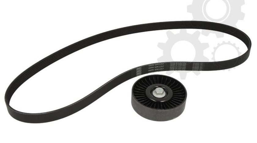 Set curea transmisie cu caneluri HYUNDAI ACCENT IV sedan RB Producator SKF VKMA 65038