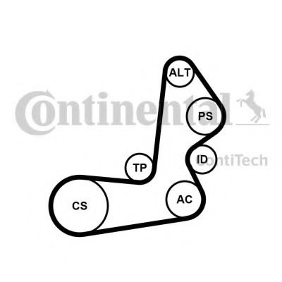 Set curea transmisie cu caneluri HYUNDAI ELANTRA limuzina (XD) (2000 - 2006) CONTITECH 6PK1515K1 pie...