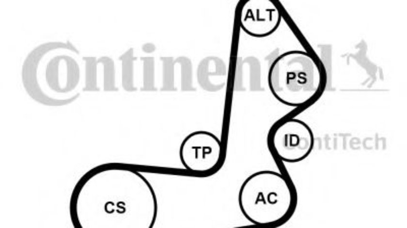 Set curea transmisie cu caneluri HYUNDAI ELANTRA limuzina (XD) (2000 - 2006) CONTITECH 6PK1515K1 piesa NOUA