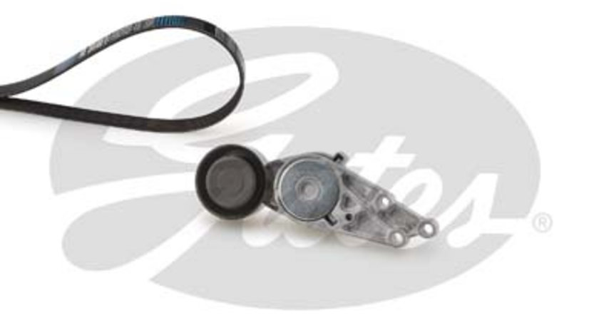 Set curea transmisie cu caneluri (K025PK1303 GAT) AUDI,SKODA,VW