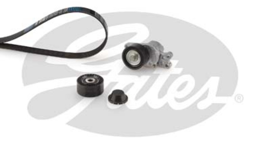 Set curea transmisie cu caneluri (K036PK1565 GAT) Citroen,FIAT,PEUGEOT