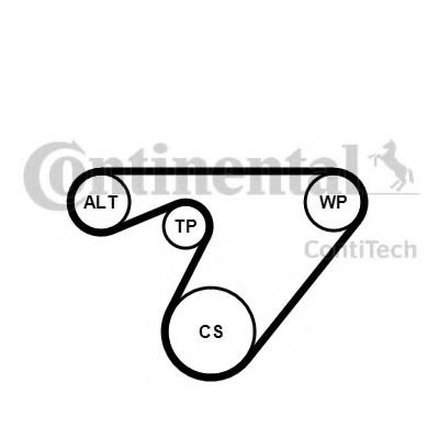 Set curea transmisie cu caneluri LANCIA MUSA (350) (2004 - 2012) CONTITECH 6PK1180K3 piesa NOUA