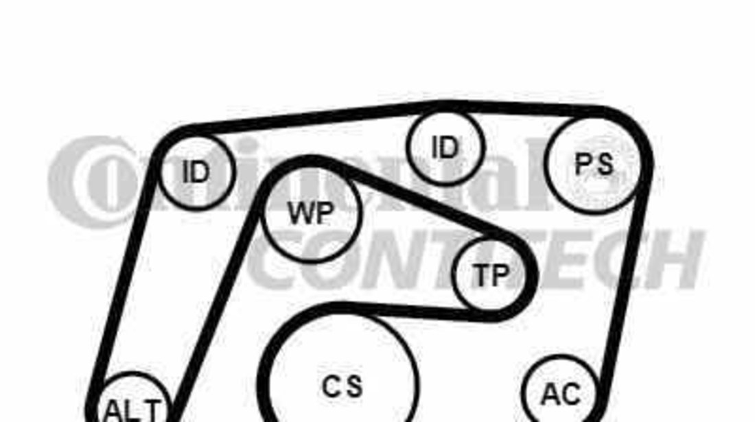 Set curea transmisie cu caneluri MERCEDES-BENZ SPRINTER 35-t bus 906 CONTITECH 6PK2260K1