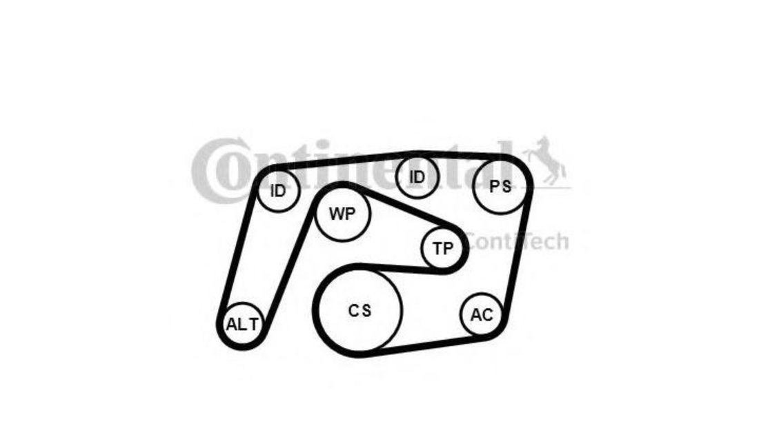 Set curea transmisie cu caneluri Mercedes C-CLASS T-Model (S204) 2007-2016 #2 6PK2260K1