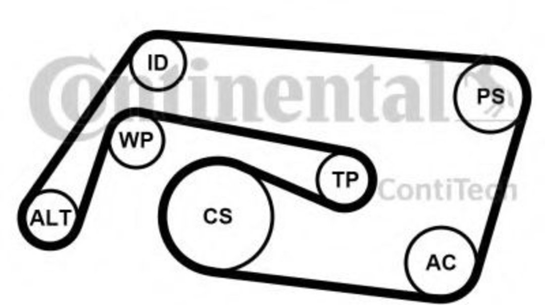 Set curea transmisie cu caneluri MERCEDES C-CLASS (W203) (2000 - 2007) CONTITECH 6PK2260K2 piesa NOUA