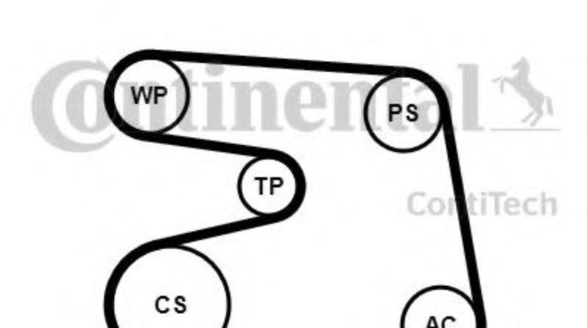 Set curea transmisie cu caneluri MERCEDES CLK (C208) (1997 - 2002) CONTITECH 6PK1873K4 piesa NOUA