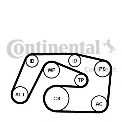 Set curea transmisie cu caneluri MERCEDES M-CLASS (W163) (1998 - 2005) CONTITECH 6PK2271K1 piesa NOU...