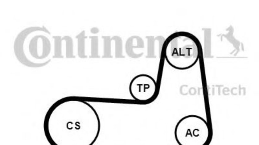 Set curea transmisie cu caneluri MITSUBISHI CARISMA limuzina (DA) (1996 - 2006) CONTITECH 5PK1125K1 piesa NOUA