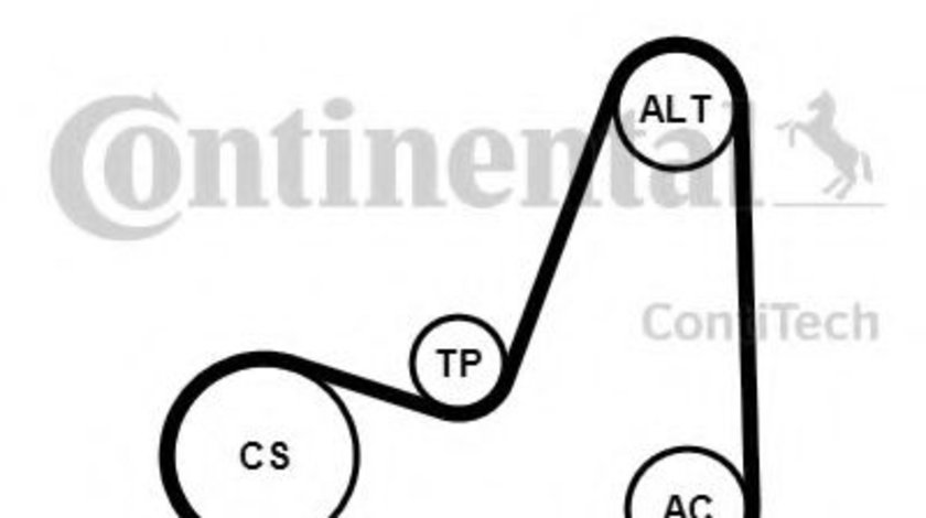 Set curea transmisie cu caneluri NISSAN MICRA III (K12) (2003 - 2010) CONTITECH 5PK1200K1 piesa NOUA