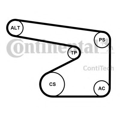 Set curea transmisie cu caneluri OPEL AGILA (A) (H00) (2000 - 2007) CONTITECH 5PK1355K1 piesa NOUA