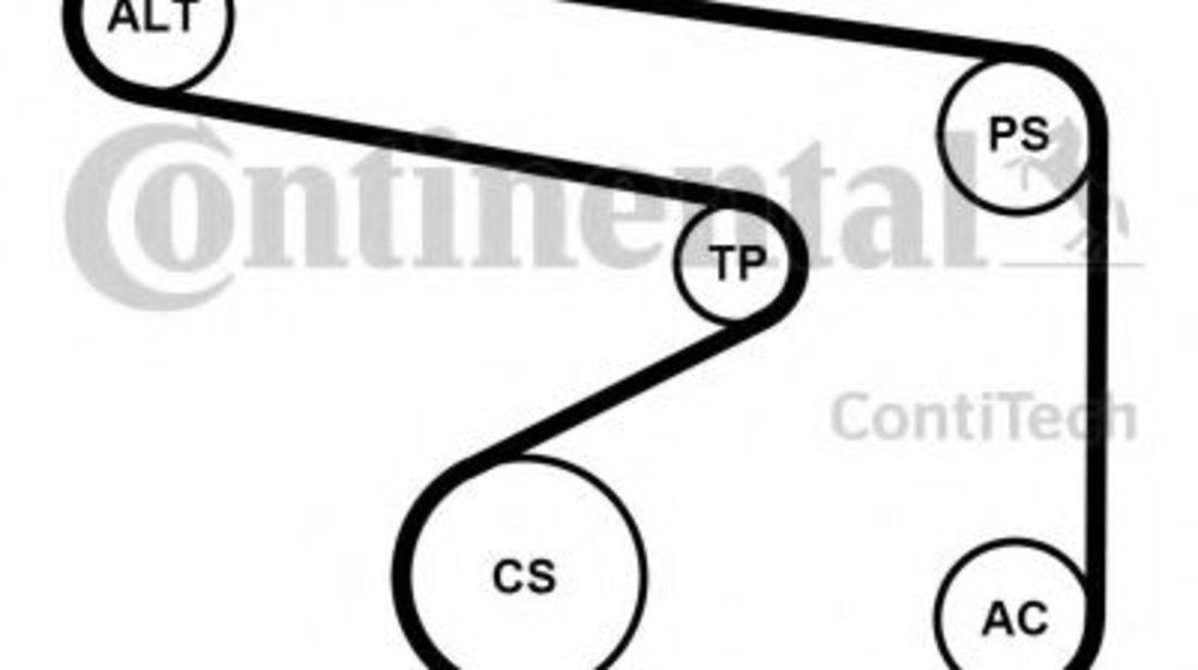 Set curea transmisie cu caneluri OPEL ASTRA G Limuzina (F69) (1998 - 2009) CONTITECH 5PK1355K1 piesa NOUA