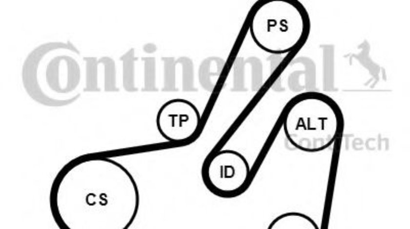 Set curea transmisie cu caneluri OPEL MOVANO caroserie (F9) (1999 - 2010) CONTITECH 6PK1795K2 piesa NOUA