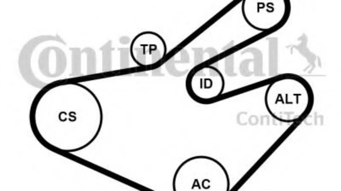 Set curea transmisie cu caneluri OPEL MOVANO autobasculanta (H9) (1999 - 2010) CONTITECH 7PK1795K1 piesa NOUA