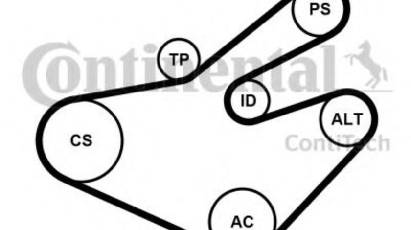 Set curea transmisie cu caneluri OPEL MOVANO caroserie (F9) (1999 - 2010) CONTITECH 7PK1795K1 piesa NOUA
