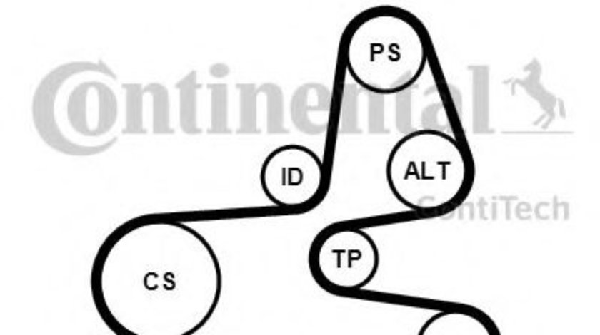 Set curea transmisie cu caneluri PEUGEOT 206+ (T3E) (2009 - 2016) CONTITECH 6PK1564K1 piesa NOUA