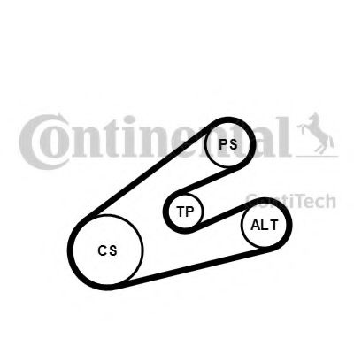 Set curea transmisie cu caneluri PEUGEOT 206+ (T3E) (2009 - 2016) CONTITECH 6PK1453K1 piesa NOUA