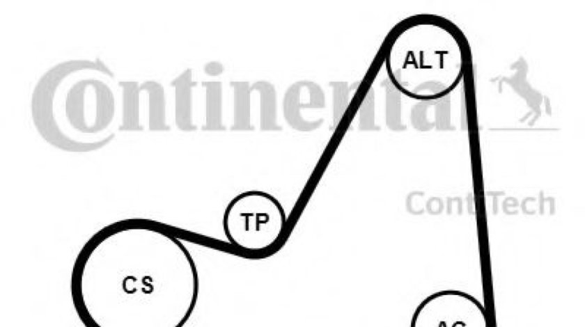 Set curea transmisie cu caneluri PEUGEOT 307 Estate (3E) (2002 - 2016) CONTITECH 6PK1070K3 piesa NOUA