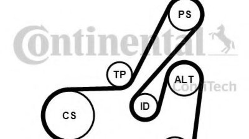 Set curea transmisie cu caneluri PEUGEOT 406 Estate (8E/F) (1996 - 2004) CONTITECH 6PK1750K1 piesa NOUA