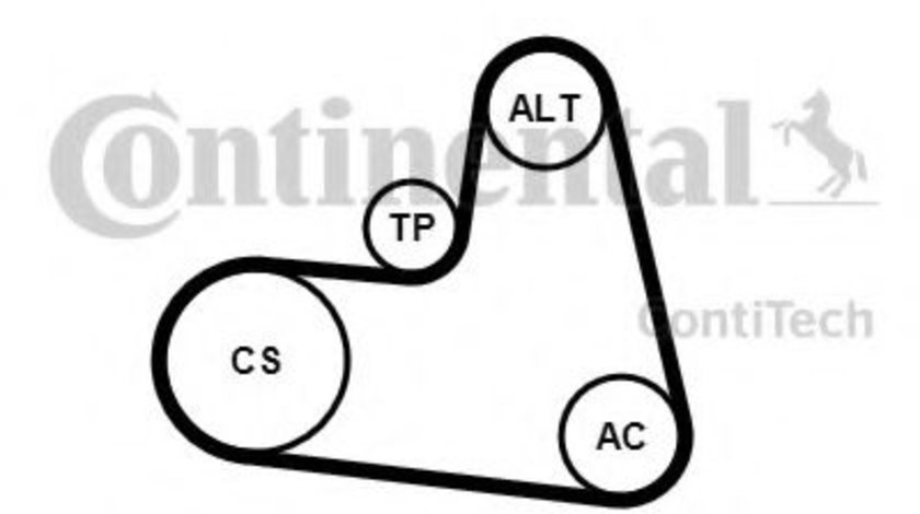 Set curea transmisie cu caneluri PEUGEOT 807 (E) (2002 - 2016) CONTITECH 6PK1217K1 piesa NOUA