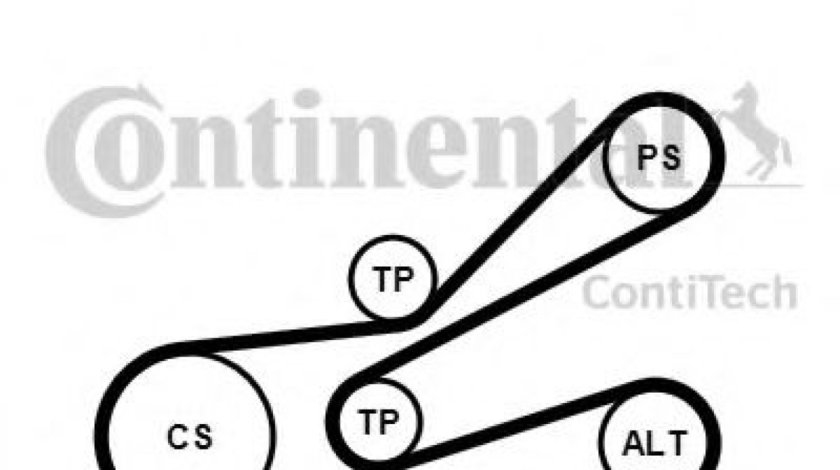 Set curea transmisie cu caneluri PEUGEOT EXPERT (224) (1995 - 2016) CONTITECH 6PK1045K3 piesa NOUA